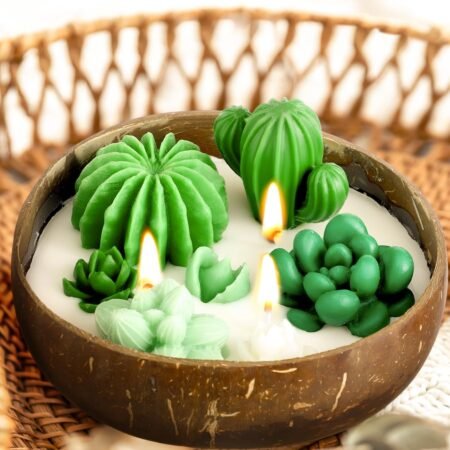 Succulent Cactus Candles 5.9 Inch Green Coconut Scented Gift